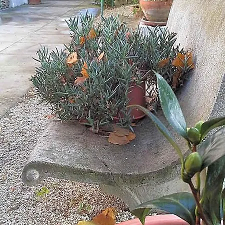 B&B Maria Bed & Breakfast, Corridonia, Marche 3*