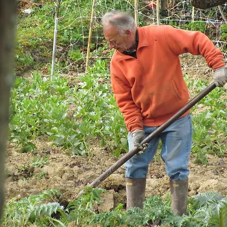 Bed & Breakfast Maria Bed & Breakfast, Corridonia, Marche 3*