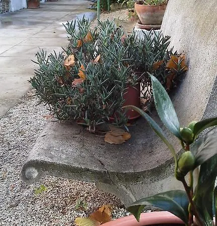 Maria Bed & Breakfast, Corridonia, Marche Bed & Breakfast Corridonia