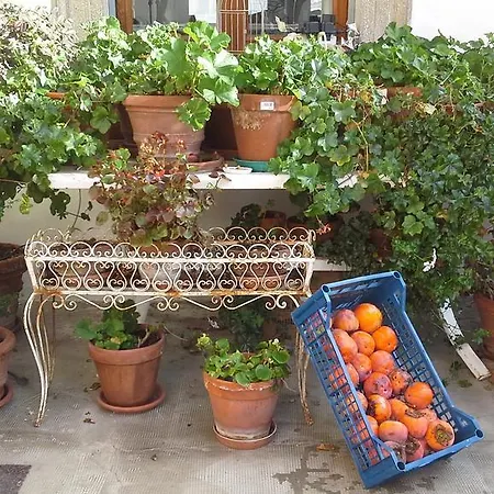 Maria Bed & Breakfast, Corridonia, Marche 3* Corridonia