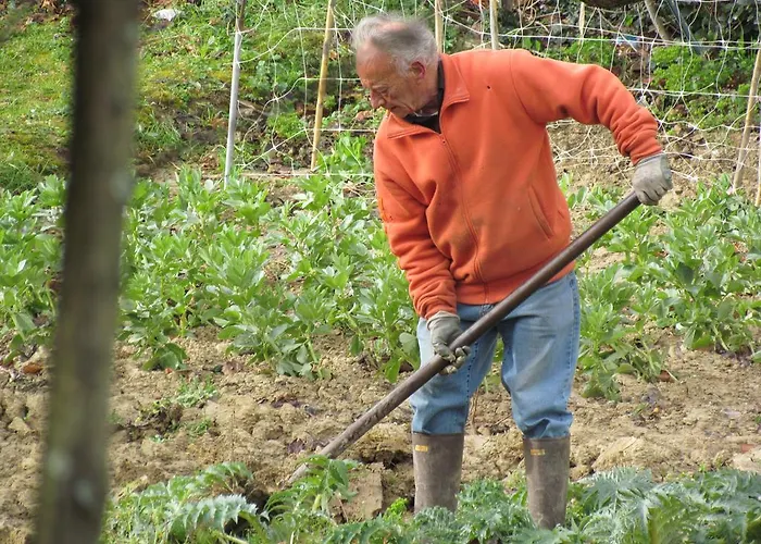 Alojamento de Acomodação e Pequeno-almoço Maria Bed & Breakfast, Corridonia, Marche 3*