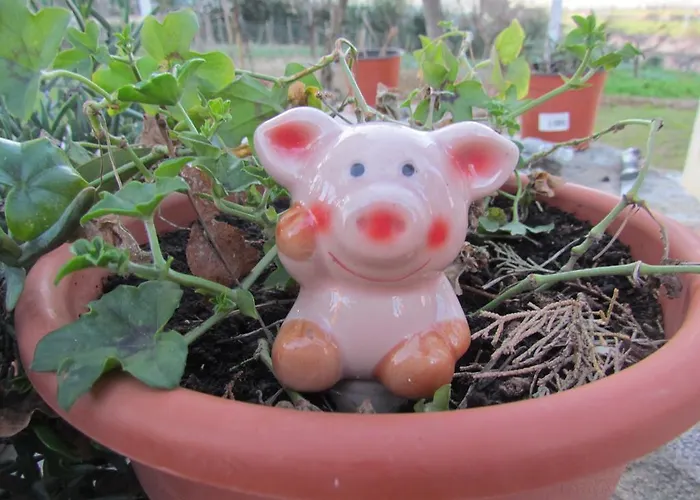 Maria Bed & Breakfast, Corridonia, Marche Corridonia